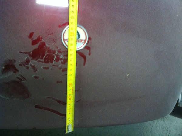 restauration AC COBRA pilgrim 85