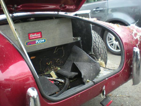 restauration AC COBRA pilgrim 7